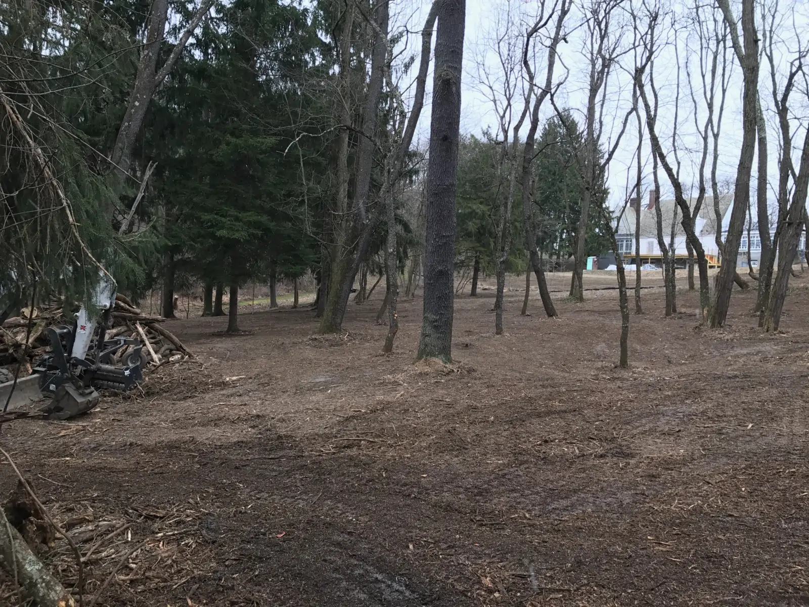 land-clearing-1-scaled-e1760553273381-1